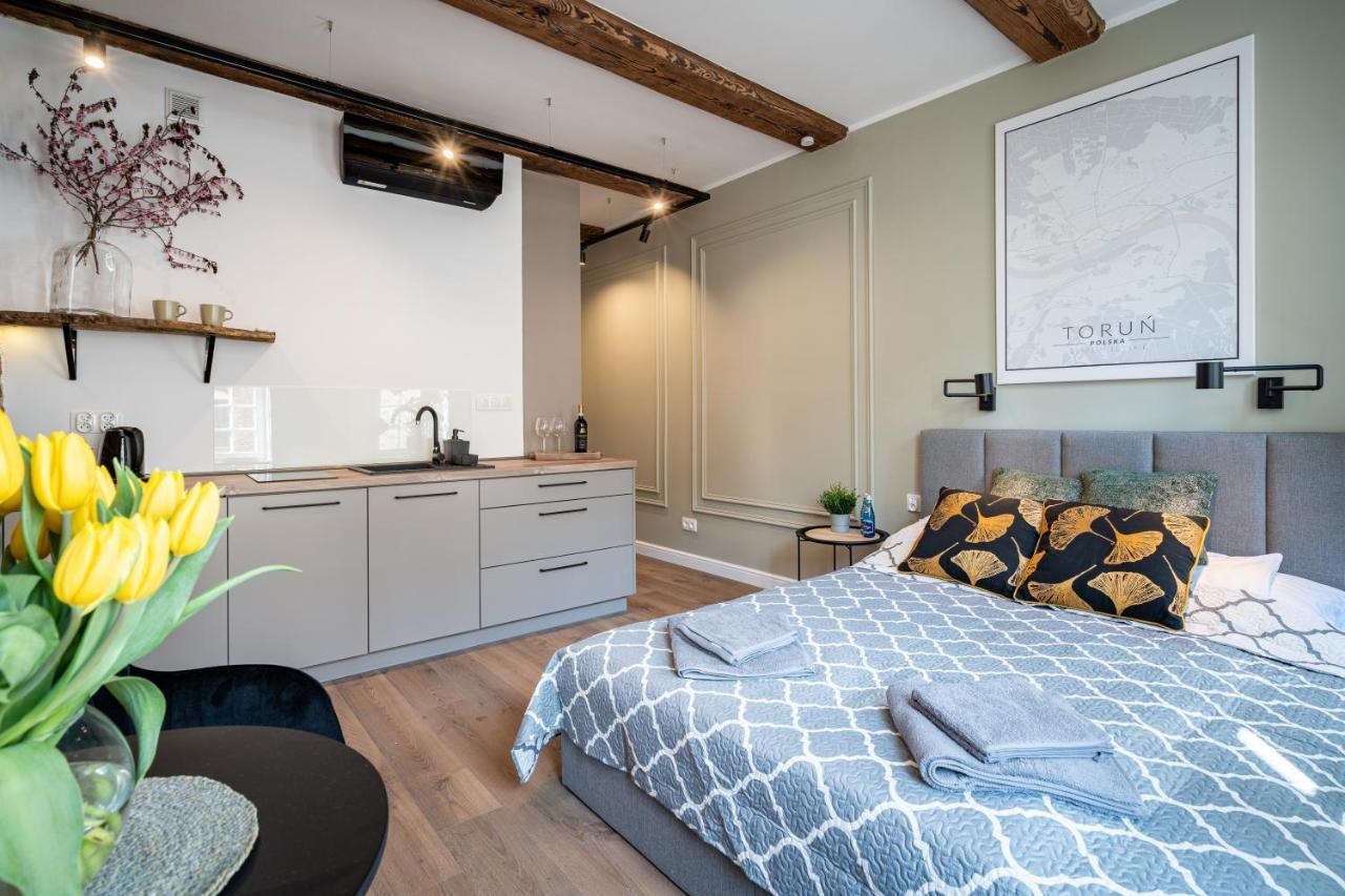 Apartamenty Stare Cegly Stary Toruń エクステリア 写真